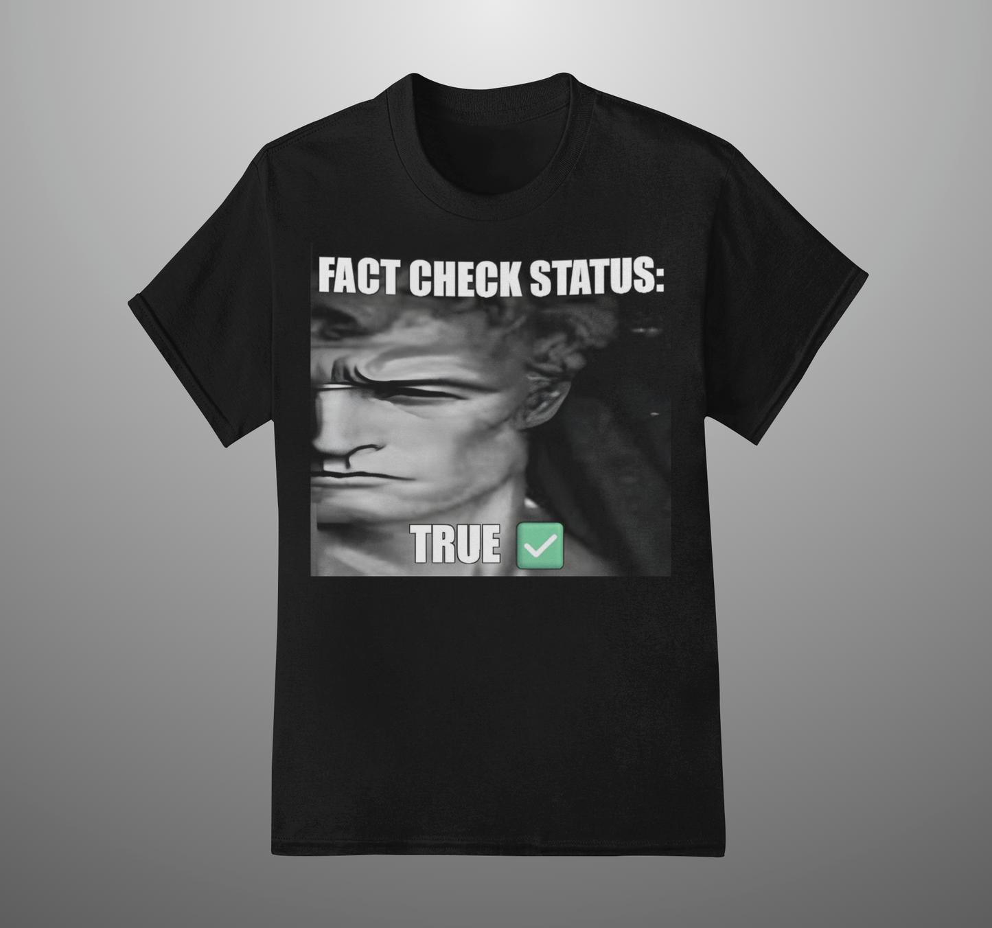 FACT CHECK STATUS' T-SHIRT