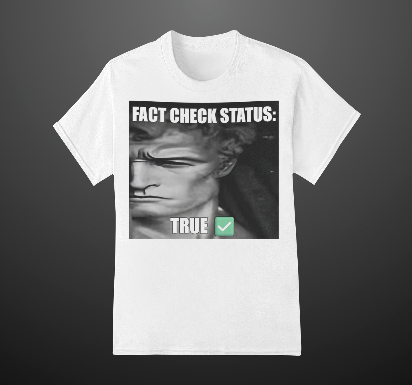 FACT CHECK STATUS' T-SHIRT