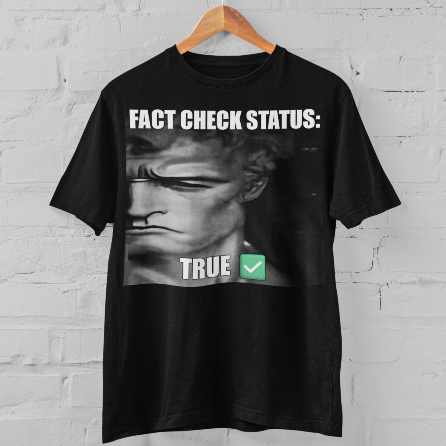 FACT CHECK STATUS' T-SHIRT