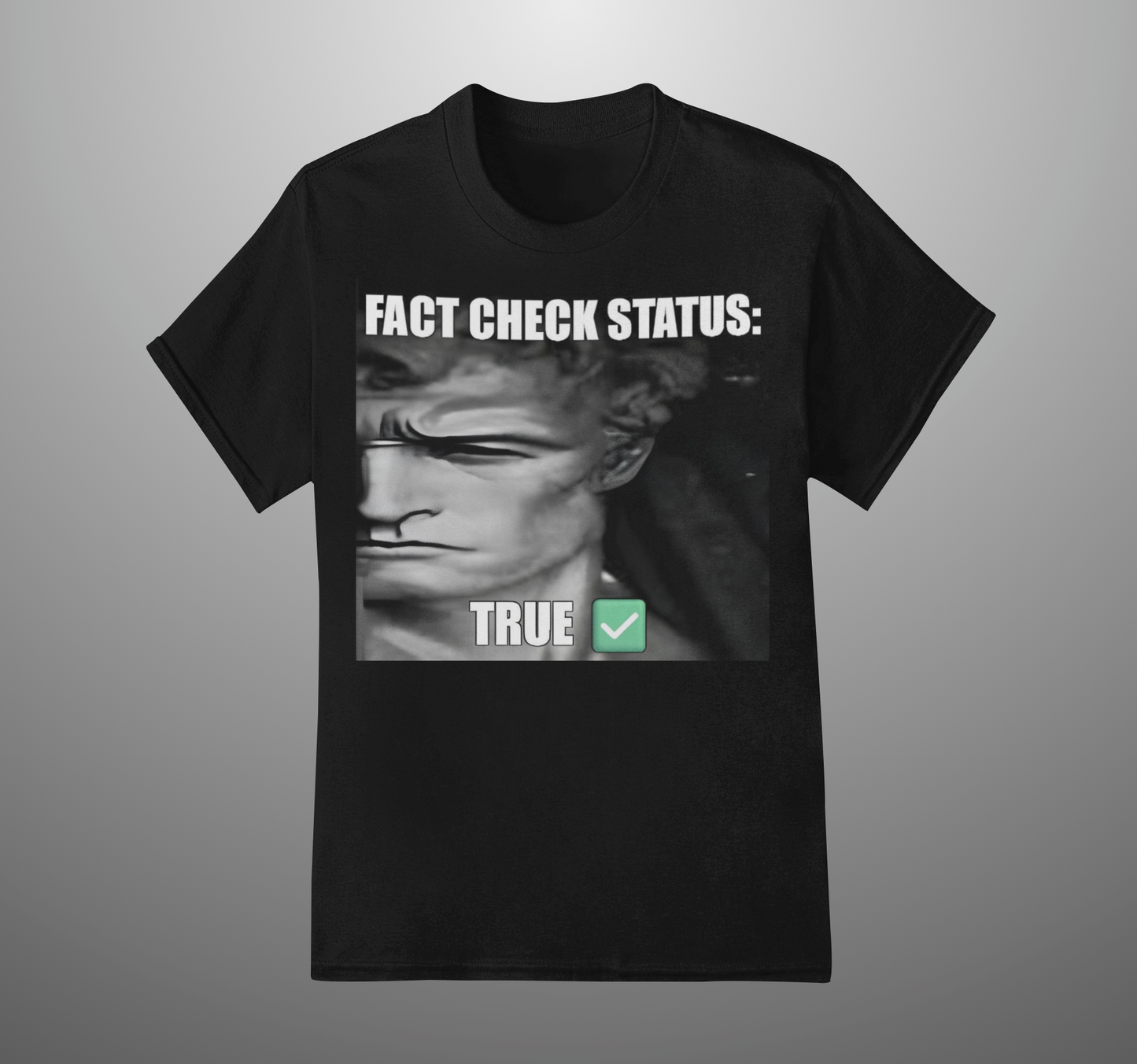 Fact Check Status' Unisex T-Shirt