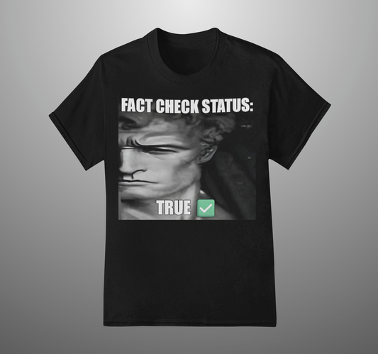 'Fact Check Status' Unisex T-Shirt