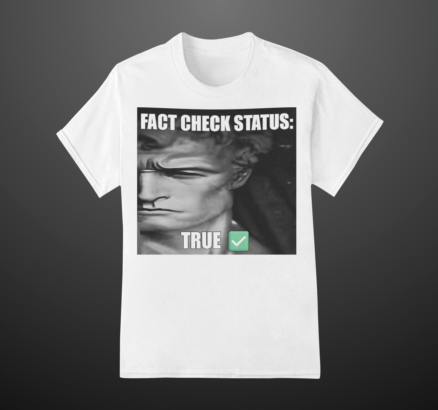 Fact Check Status' Unisex T-Shirt