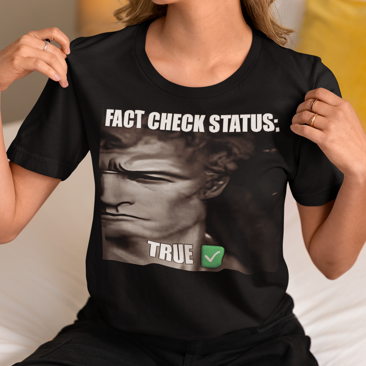 Fact Check Status' Unisex T-Shirt