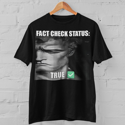 'Fact Check Status' Unisex T-Shirt